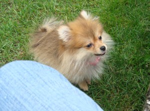 Delilah