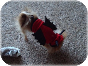 demondog